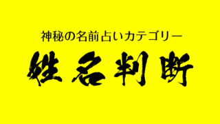 面白美術計画ネコヒート 付録 画数表 漢字 ひらがな カタカナ